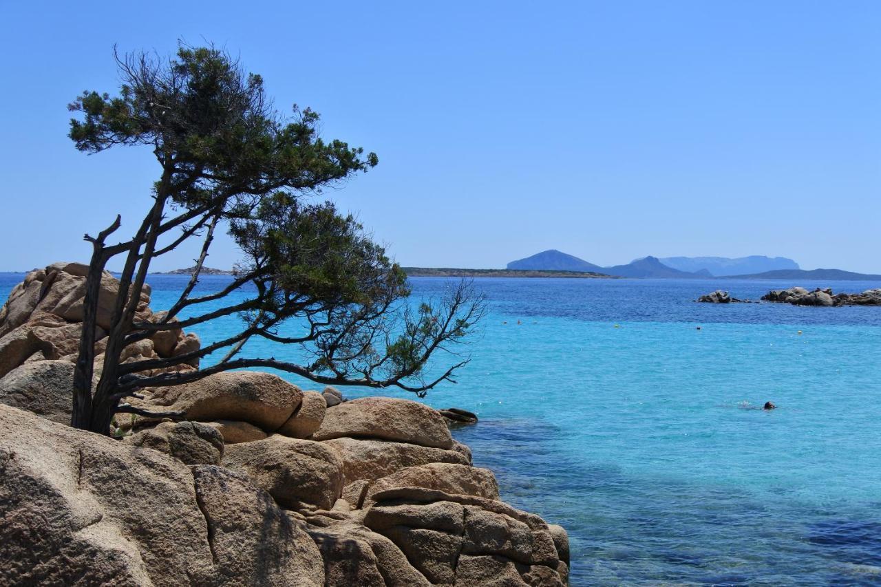 Iknos Guest House Olbia Esterno foto